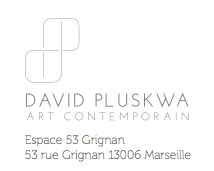 Logo: David Pluskwa Art Contemporain Gallery. from Antonio Carretero website